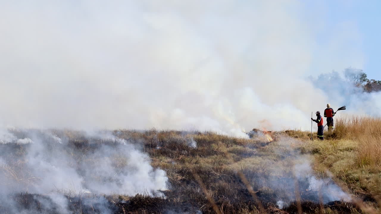 Two workers use fire swatters to control and manage planned firebreak on farm