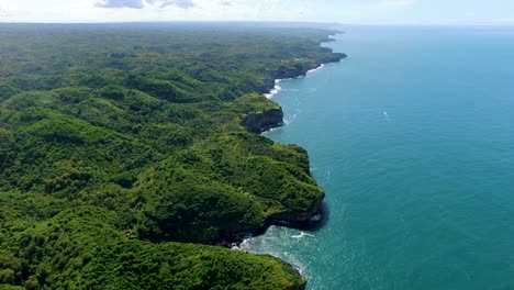 prístina costa de kesirat cubierta de exuberante bosque tropical verde, java indonesia