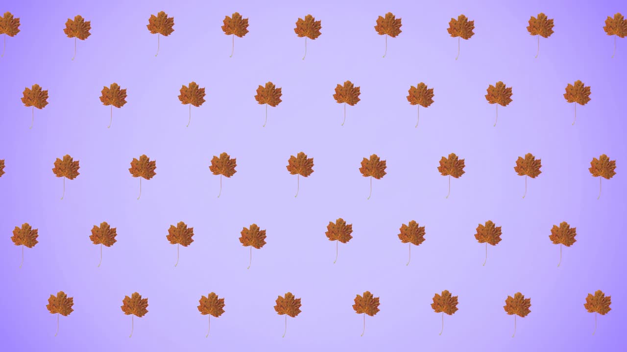 animación de filas de hojas de naranja de otoño sobre un fondo púrpura