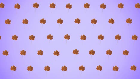 Animation-of-rows-of-autumn-orange-leaves-on-purple-background