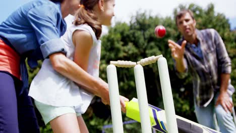 happy family playing cricket