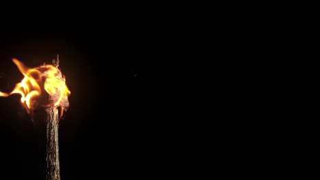 realistic 3d render of a flamin firebrand torch - replace the background or just add your own titles, etc