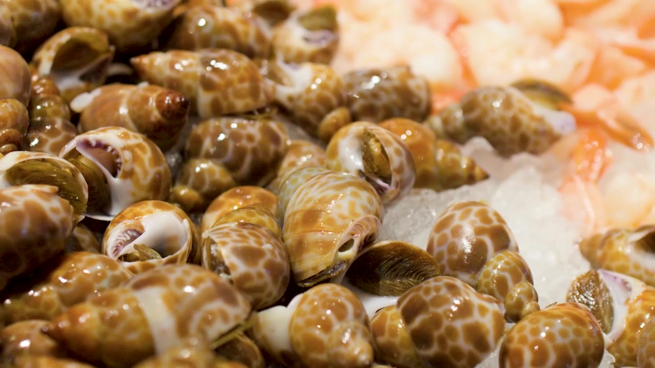 Close-up of Fresh Sea Snails on Ice at a Seafood Market