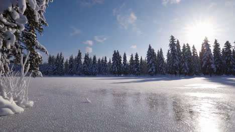 snowy winter landscape with frozen lake and pine trees
