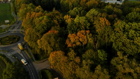 scenic road in autumn along the beautiful forest landscape in lubawa, poland - aerial drone shot