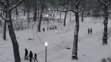 Drone-shot-of-flying-snowflakes-and-people-in-the-winter-urban-park-illuminated-by-light-of-lanterns-at-dusk