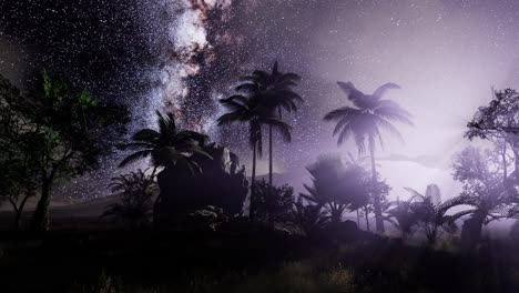 milky way galaxy over tropical rainforest.