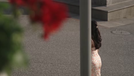 woman walking past red flowers on a sunny day