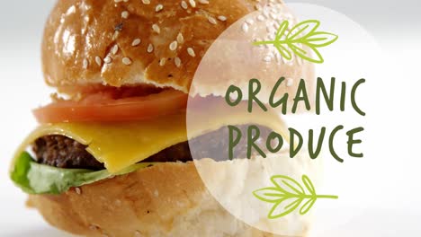 Animation-of-organic-produce-over-burger-with-vegetable-and-cheese