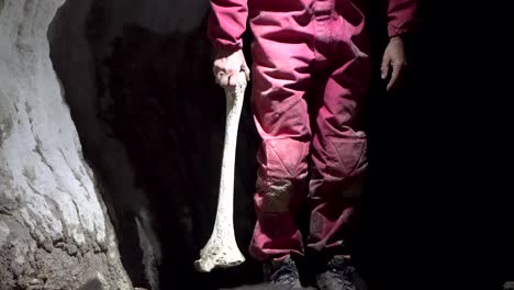 cavers discover bones of extinct giant moa in caves in new zealand - comparing moa leg bone to human leg