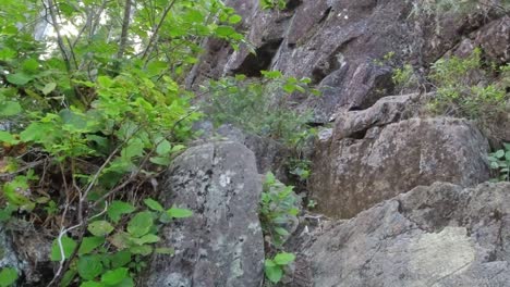 Excursionista-Escalando-Losas-De-Roca-En-Sub-Alpine---Mackenzie