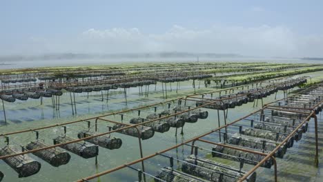 aerial view of oyster farm with basket system during low tide in brittany, france