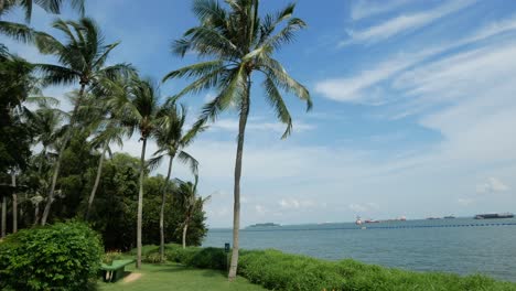 nature with tropical sea and beach on white cloud and blue sky  high quality 4k footage