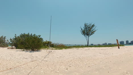 Statische-Aufnahme-Des-Strandes-Mit-Tampa-Im-Hintergrund-Auf-Der-Anderen-Seite-Der-Bucht