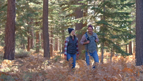 panning shot of couple walking past on a forest trail