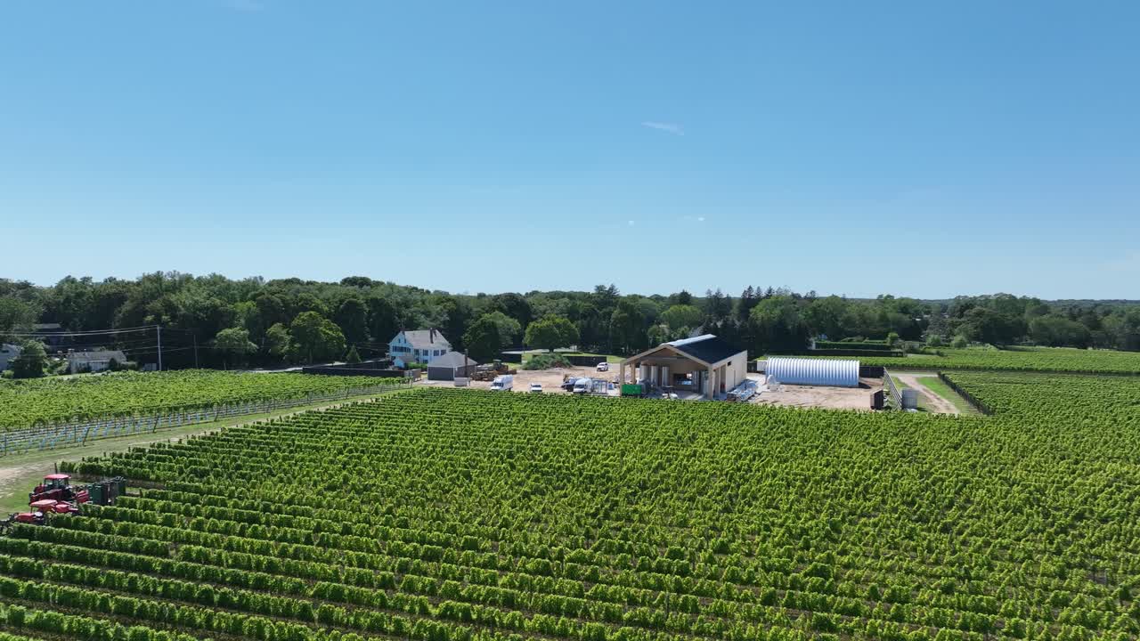 Vista aerea con drone di un vigneto di Long Island sotto un bellissimo cielo azzurro, con cielo limpido che si estende sopra i dolci vigneti e alberi verdi