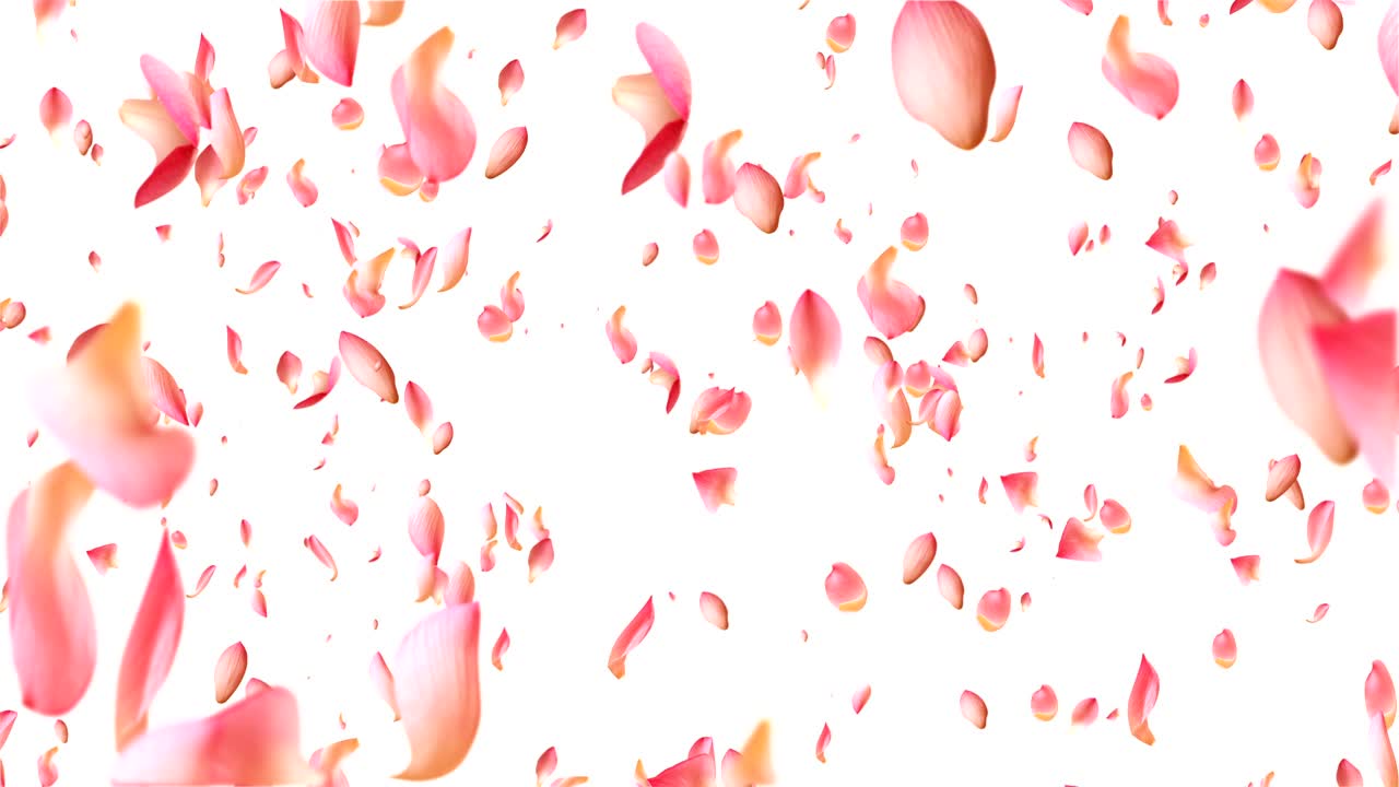 el lirio de agua rojo volando.