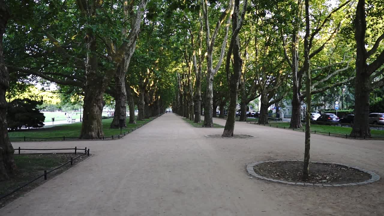 un camino en un hermoso parque en el centro de la ciudad entre árboles verdes