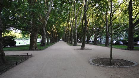 a path in a beautiful park in the center of the city among green trees