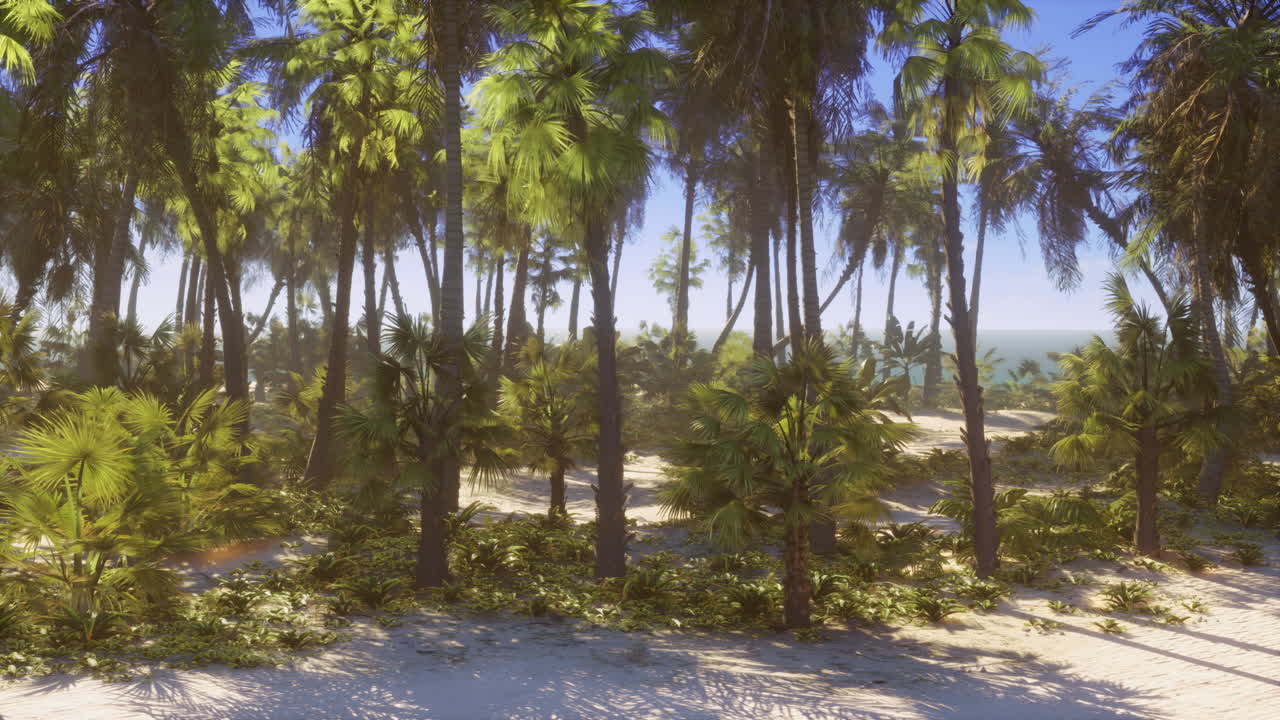 un paraíso de playas tropicales: palmeras, arena y océano