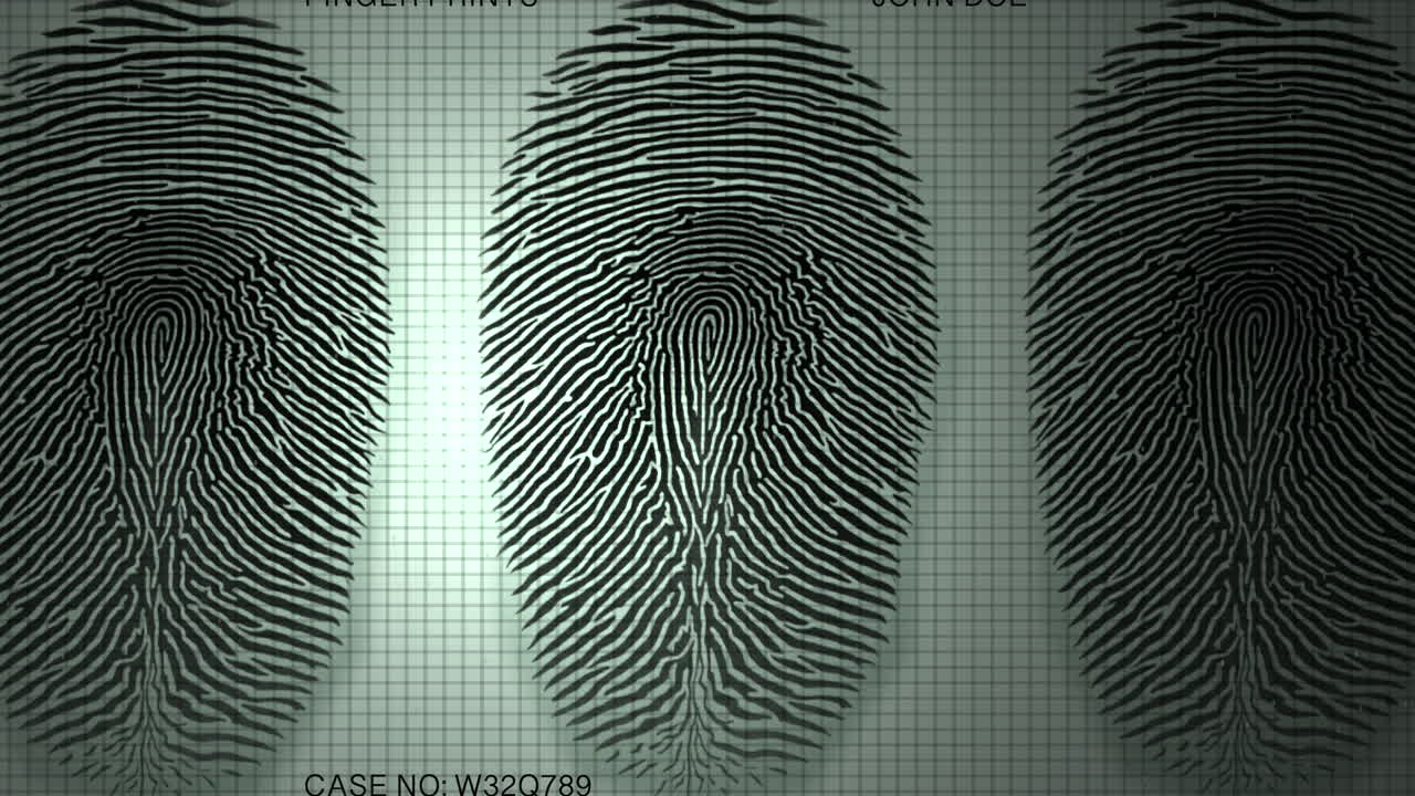 Light sensor scans fingerprint patterns on digital screen grid