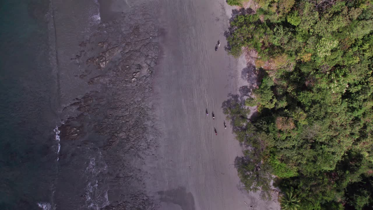 아름다운 playa prieta에서 코스타리카 해안 승마 투어