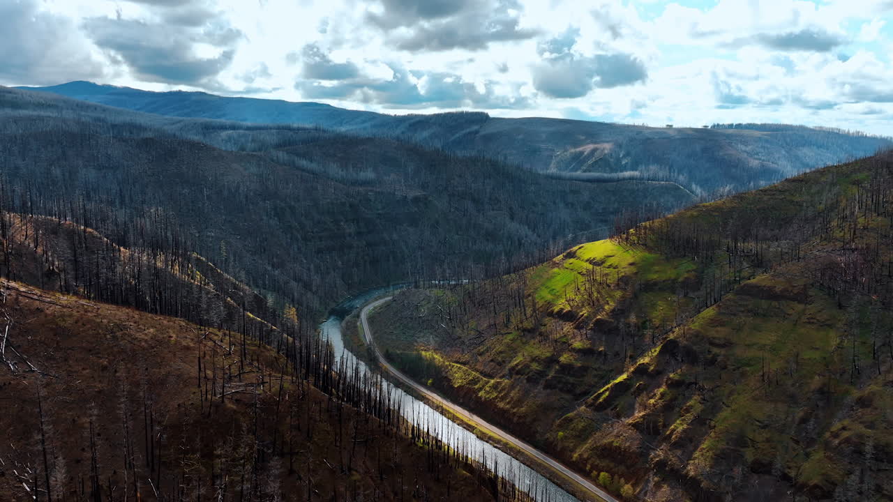 Dull gloomy mountains covered with dry pine tree trunks. Drone footage flying above the river flowing at the foot of the rocks.