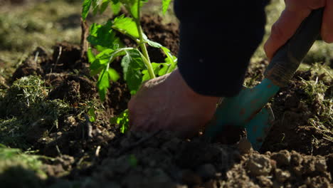 Slow-Motion-of-a-woman-doing-garden-work