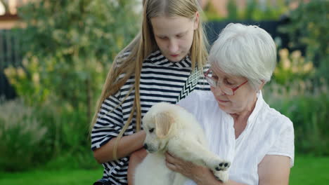 elderly lady with her granddaughter and a cute puppy in the backyard of the house