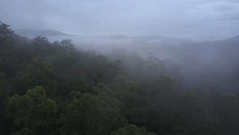 Low-clouds-over-green-forest,-Nambucca-Valley-in-New-South-Wales,-Australia
