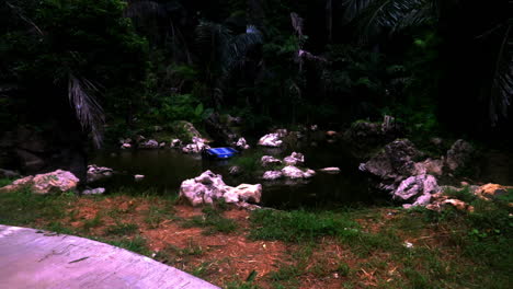 Looking-at-the-lake,-trees-and-rocks-in-Krabi