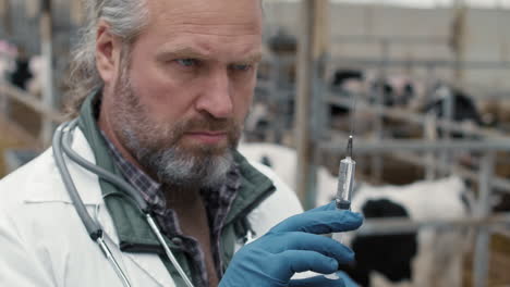 veterinarian preparing to vaccinate cattle at farm