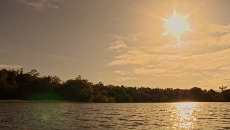 speeding along the amazon river in a boat with a view of the rainforest