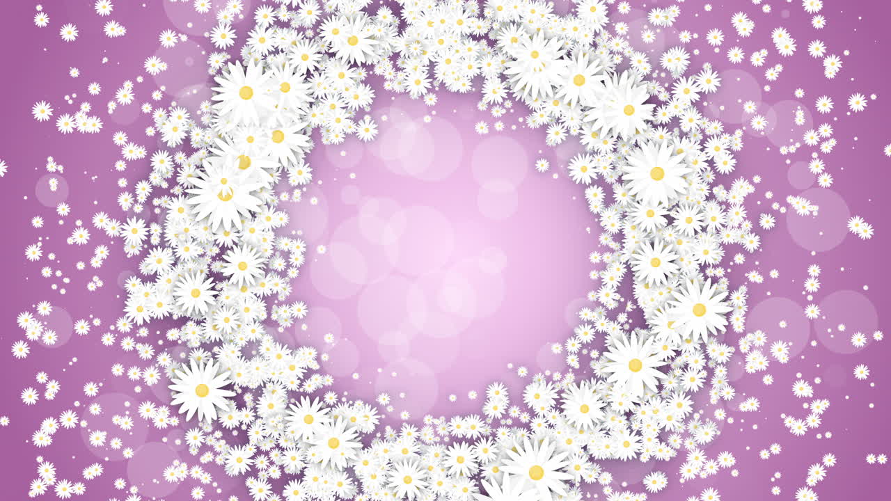 Floral round frame on pink spring background. Small flying daisies flowers with abstract particles. Looped holiday animation.