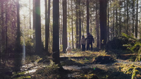 couple with dog enjoy a tranquil walk in a sunny, thawing spring forest, light filtering through trees