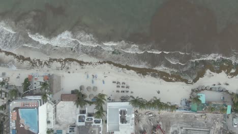 Sargassum-Algen-Am-Strand-Von-Playa-Del-Carmen-Quintana-Roo-Mexiko-15