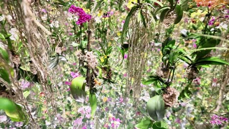 teamlab planets tokyo, un museo en toyosu, tokio
