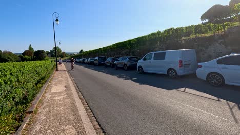 cyclist rides past vineyard and parked cars