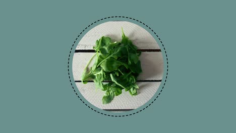 vegetables on white wooden table on the mint background, top view
