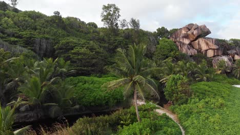 Aerial-view-of-the-jungle-at-Anse-Coco,-Petit-Anse-and-Grand-Anse-on-La-Digue,-an-island-of-the-Seychelles