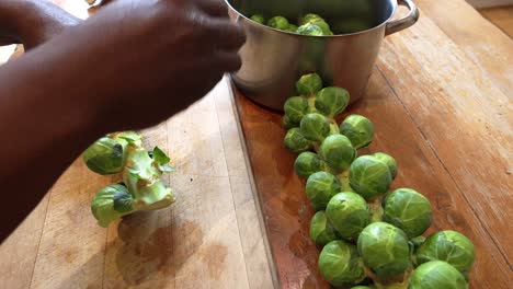 Man of African ethnicity plucking Brussel sprouts from a stem