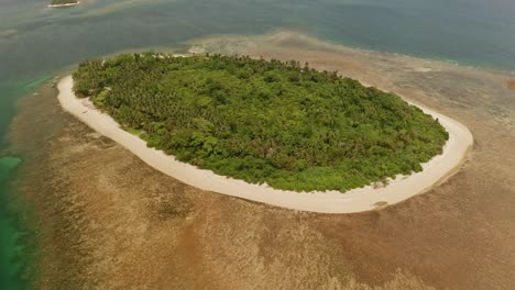 isla tropical en las filipinas con una costa prístina de arena blanca y playas rosadas