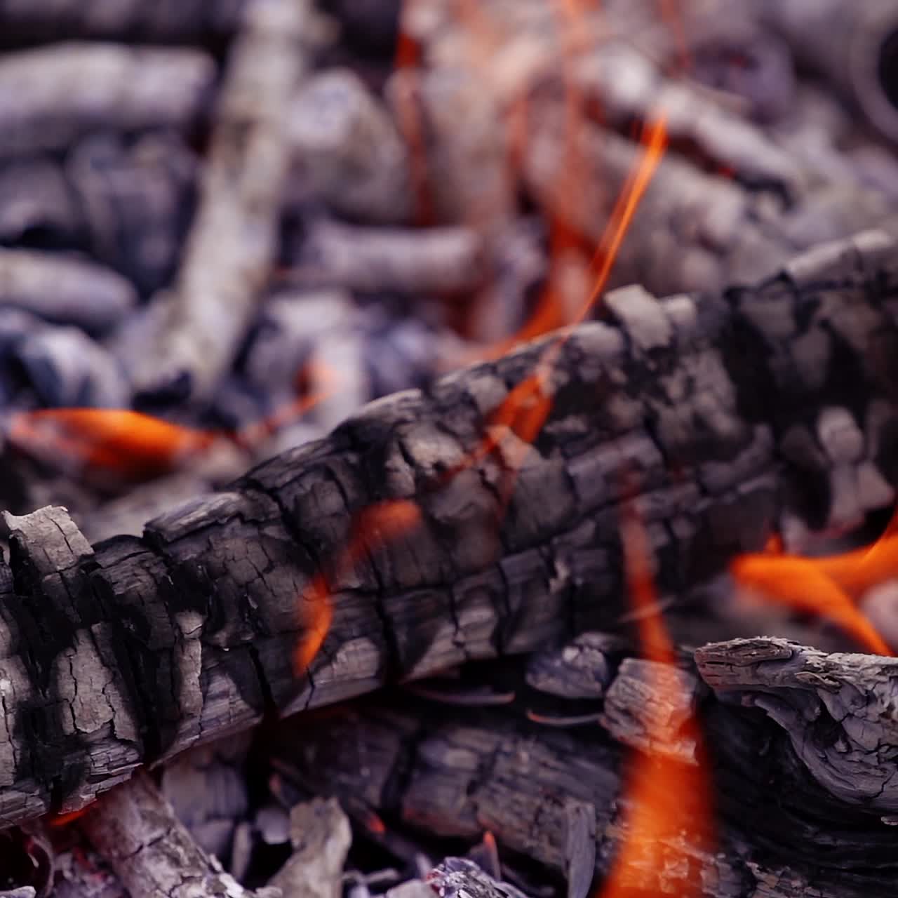 Spurts of hot red small flame fire blown with wind. Burnt wood. Power of fire. Video