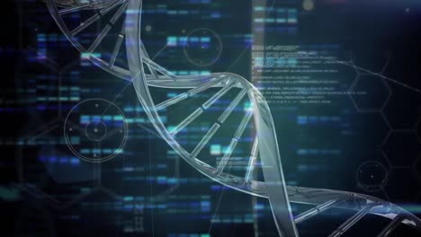 animación de la cadena de adn que gira sobre el procesamiento de datos científicos en fondo azul