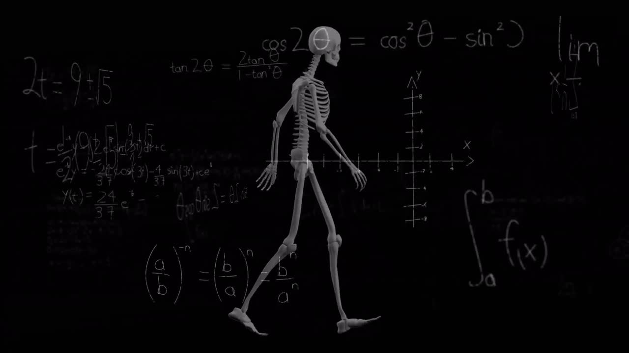 animación de ecuaciones matemáticas sobre el esqueleto
