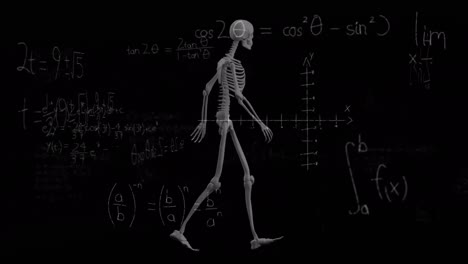 Animación-De-Ecuaciones-Matemáticas-Sobre-Esqueleto