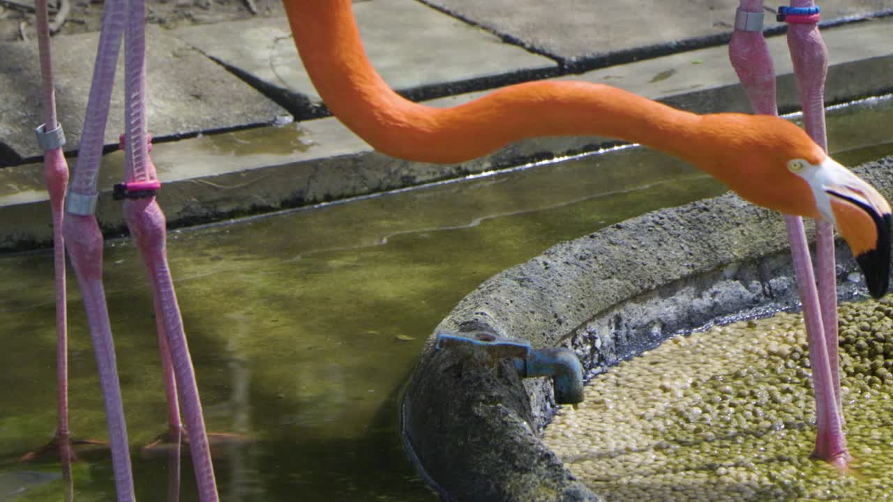 la mejor vista en tokio