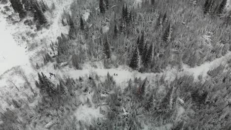 Aerial-view-as-a-family-walks-a-snowy-trail-in-Idaho's-Cassia-District-of-the-Sawtooth-Forest