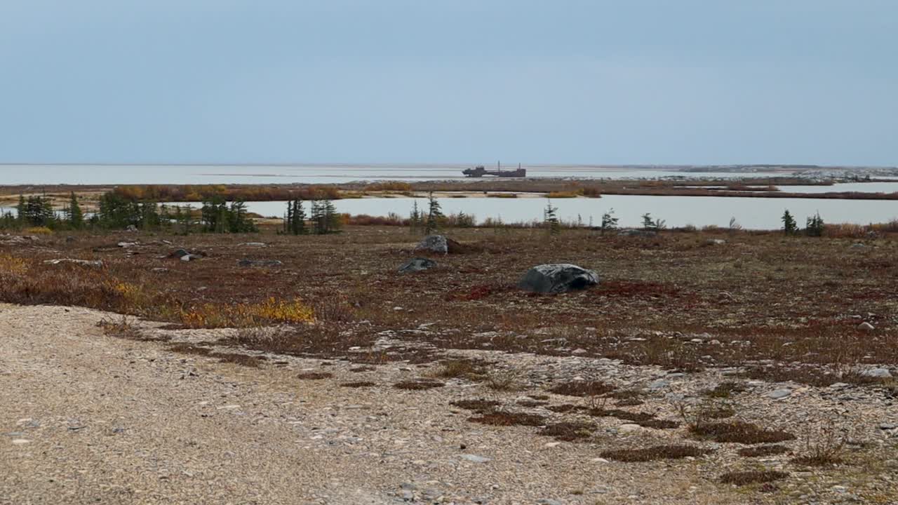 кораблекрушение "итика" в заливе гудзон на севере канады близ черчилля манитоба летом