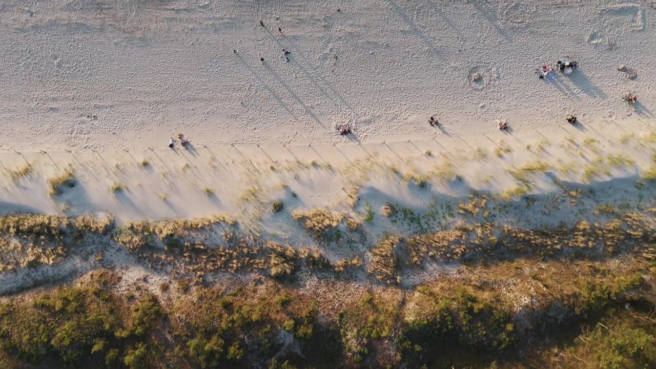 Una ripresa verticale con drone di una foresta che si trasforma in una spiaggia sabbiosa e poi nel mare
